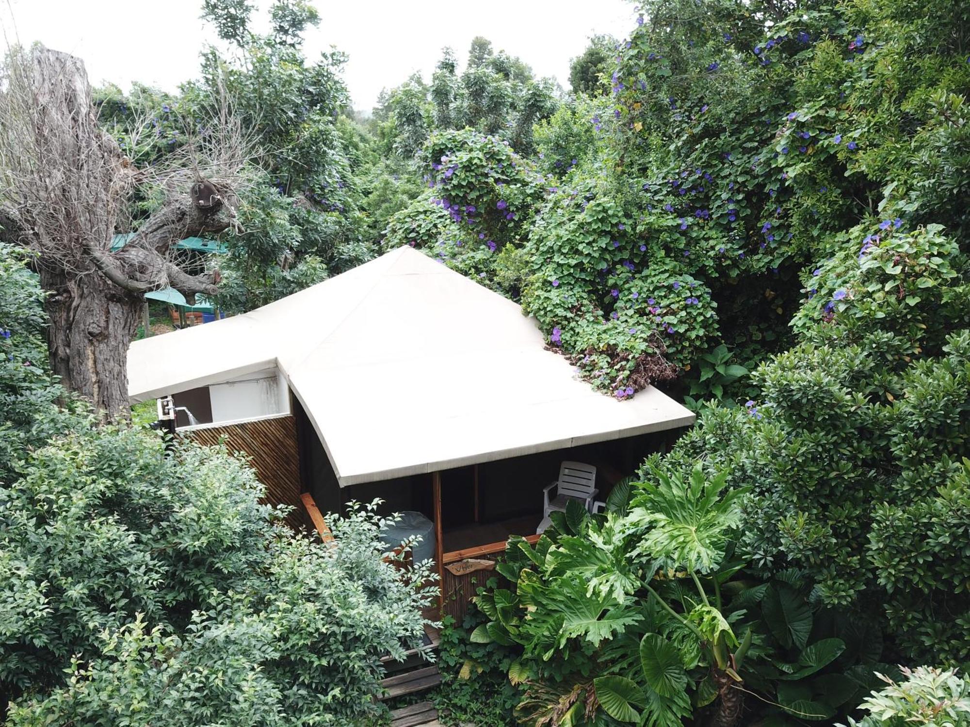 Auberge de jeunesse Tube 'n Axe Boutique Backpackers&Hot Tubs à Stormsrivier Chambre photo
