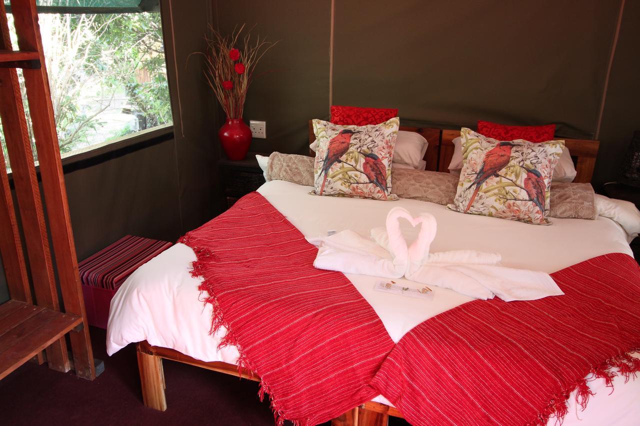 Auberge de jeunesse Tube 'n Axe Boutique Backpackers&Hot Tubs à Stormsrivier Extérieur photo