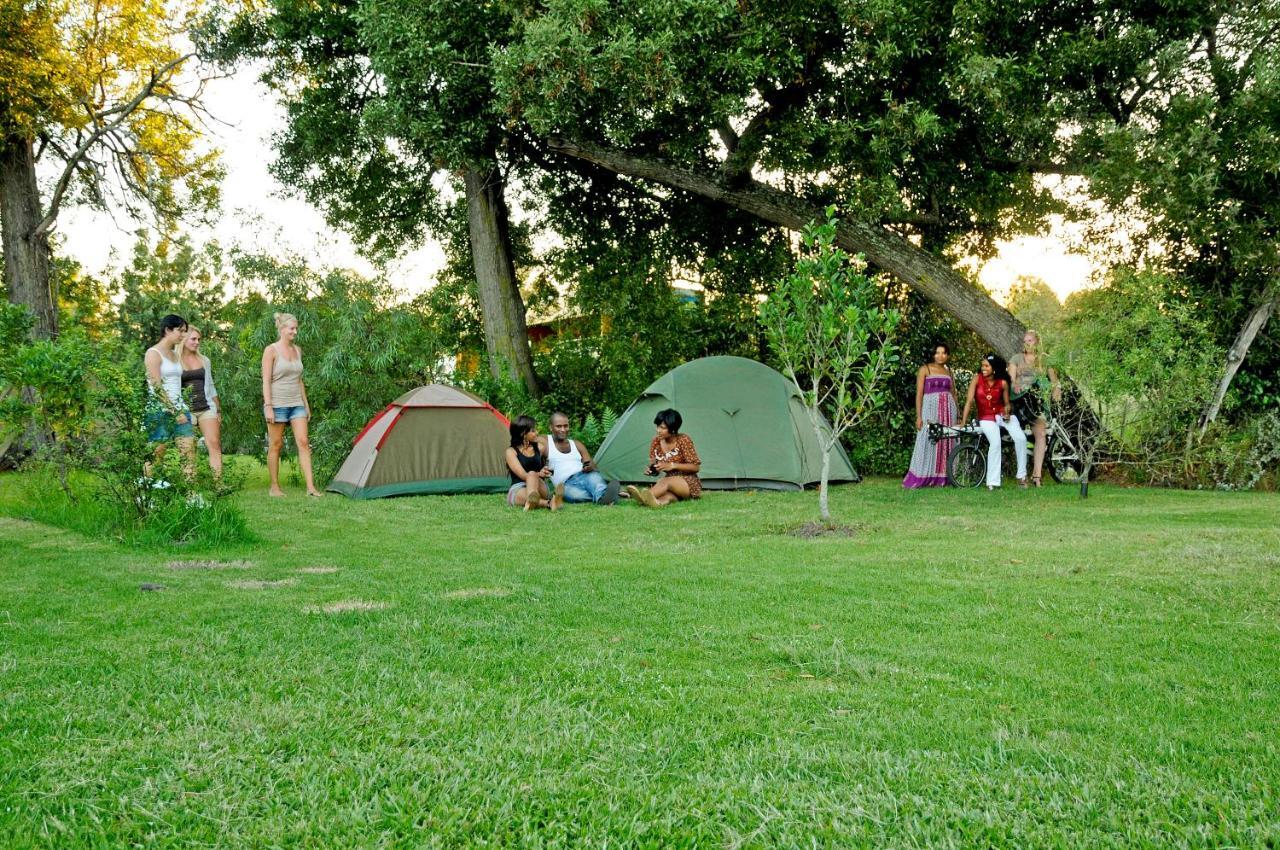 Auberge de jeunesse Tube 'n Axe Boutique Backpackers&Hot Tubs à Stormsrivier Extérieur photo