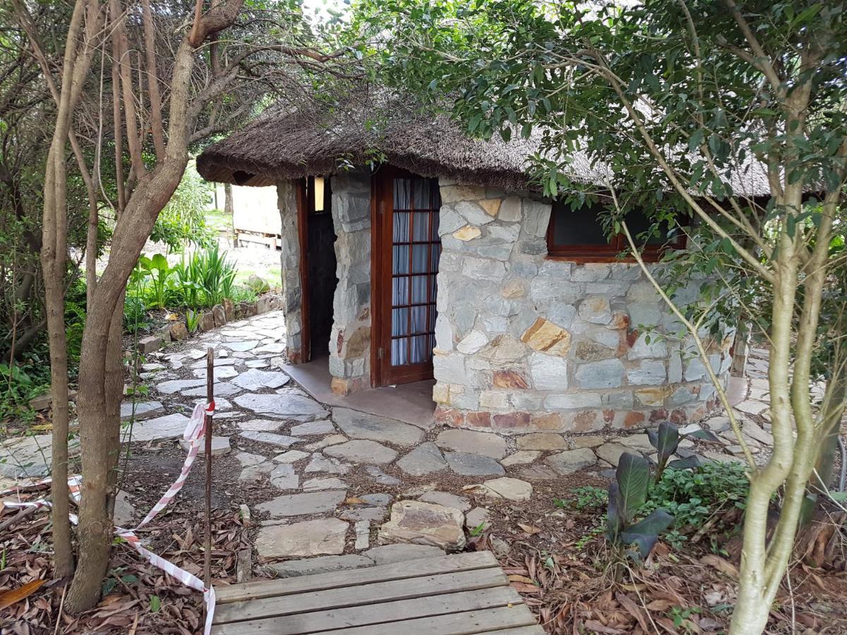 Auberge de jeunesse Tube 'n Axe Boutique Backpackers&Hot Tubs à Stormsrivier Extérieur photo