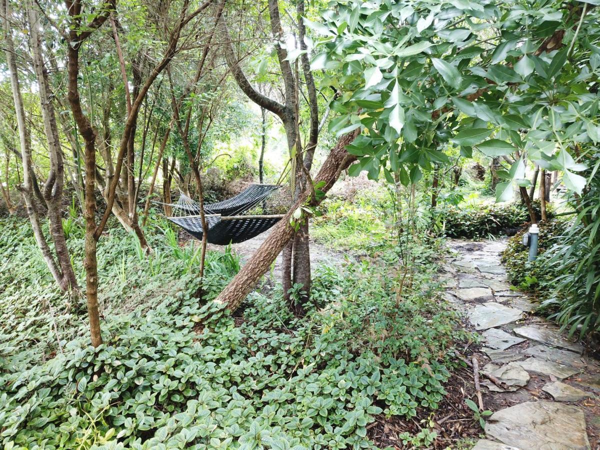 Auberge de jeunesse Tube 'n Axe Boutique Backpackers&Hot Tubs à Stormsrivier Extérieur photo