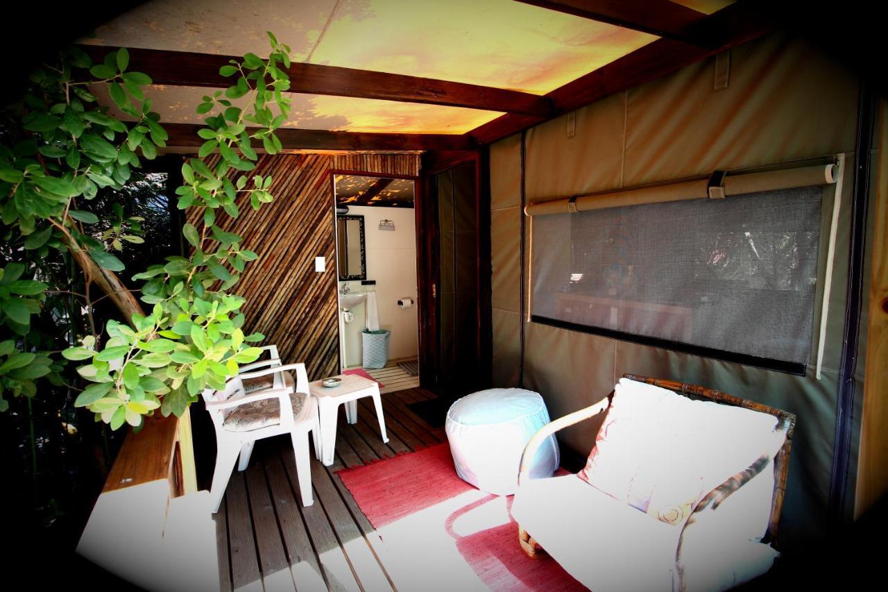 Auberge de jeunesse Tube 'n Axe Boutique Backpackers&Hot Tubs à Stormsrivier Extérieur photo